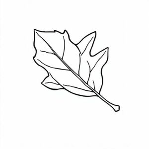 A falling autumn leaf with veins, cartoon black outline style, simple and clean