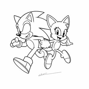 Vẽ Sonic và Tails chạy cạnh nhau, thể hiện chuyển động và phấn khích. Sử dụng các đường viền dày với nền tối thiểu.

