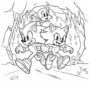 Tạo một hình vẽ đường đen trắng cho thấy Sonic đua cùng với Tails trong Mystic Cave. Cả hai nhân vật nên có tư thế chuyển động, mỉm cười và tràn đầy năng lượng. Nền nên bao gồm các yếu tố hang động tối thiểu như nhũ đá hoặc pha lê, được phác thảo nhẹ.

