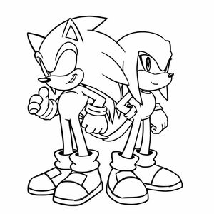 Tạo ra một nghệ thuật đường nét năng động của Sonic và Knuckles cạnh nhau, thể hiện cá tính riêng biệt của họ với những đường viền táo bạo.

