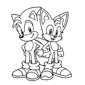 Vẽ Sonic cạnh nhau với Tails, vừa mỉm cười vừa sẵn sàng cho cuộc phiêu lưu. Sử dụng đường viền đậm, các tính năng đơn giản và không có nền phức tạp để tập trung vào các nhân vật