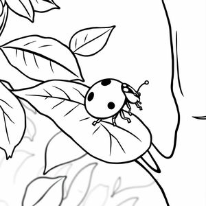 cute lady bug crawling on a leaf on a tree