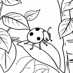cute ladybug like a cartoon crawling on a leaf in a tree