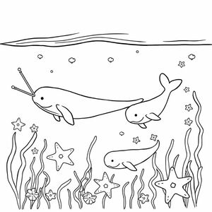 narwhals swimming under water with star fish and seaweed