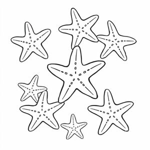 starfish page with starfishes