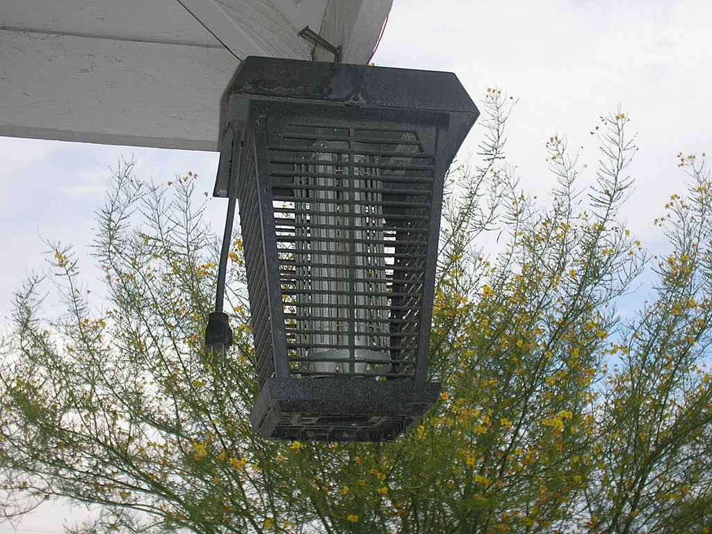 Bug Zapper As a Way to Get Rid of Gnats in Your House