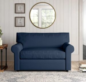 Birch Lane Newton Upholstered Sleeper Sofa