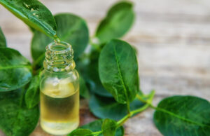 Try tea tree oil