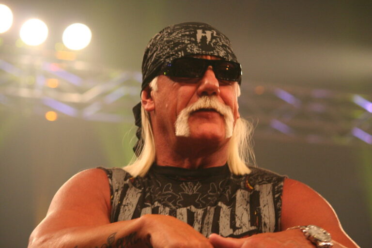 Horseshoe mustache worn by Hulk Hogan