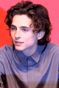 Timothée Chalamet with a Messy Fluffy Hair