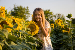 Sunflowers