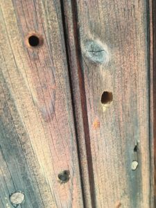 A carpenter bee trap