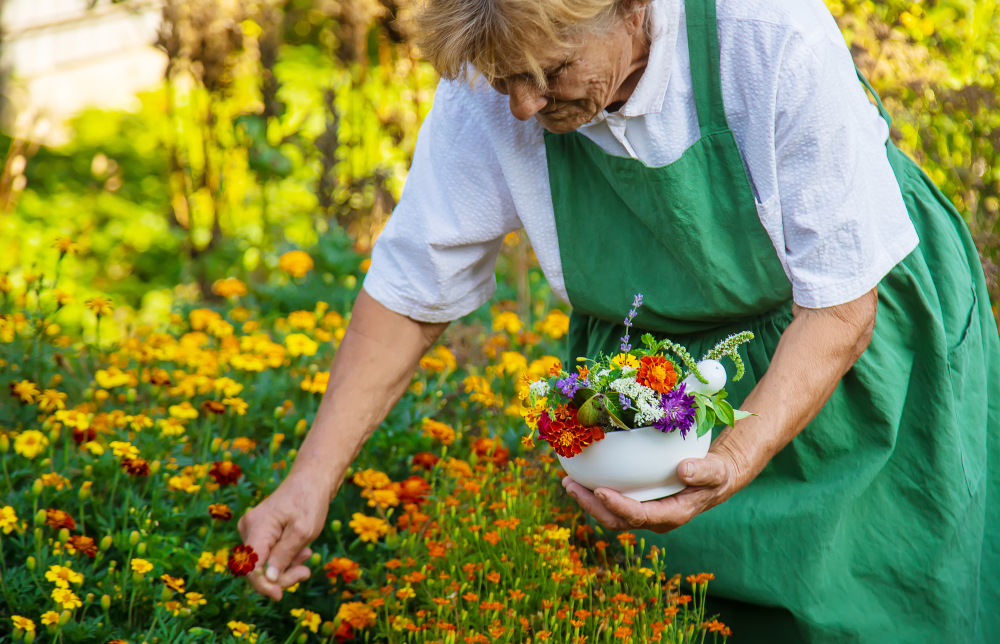 An Old Woman Picking Flowers