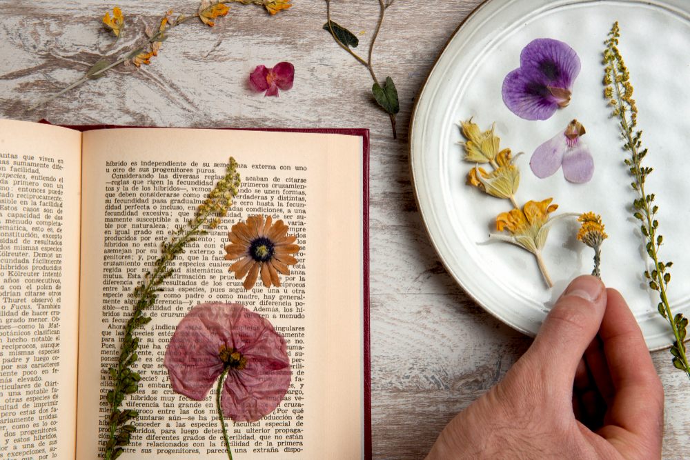 Press Flowers in a Book