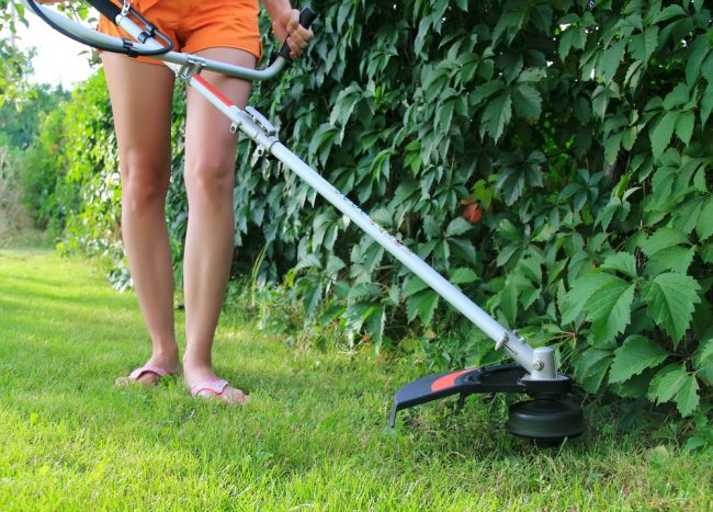 best weed eater