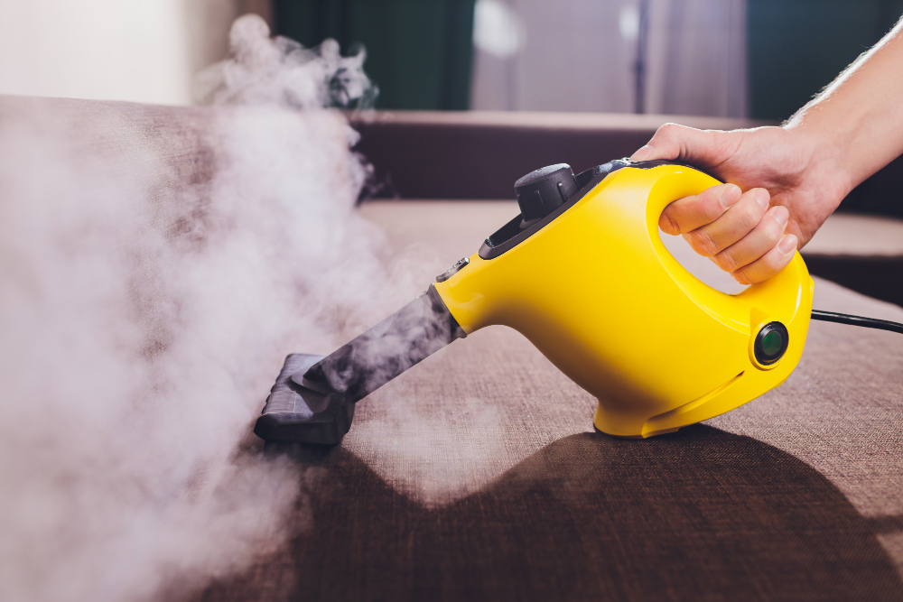 Steam Cleaning to Get Rid of Carpet Beetles