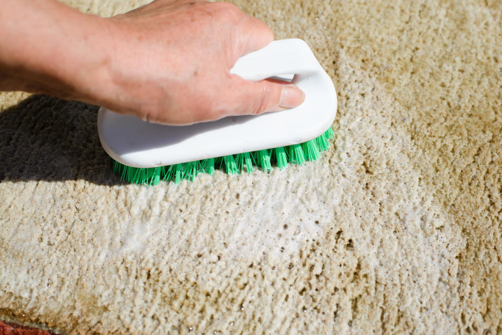 Cleaning a carpet