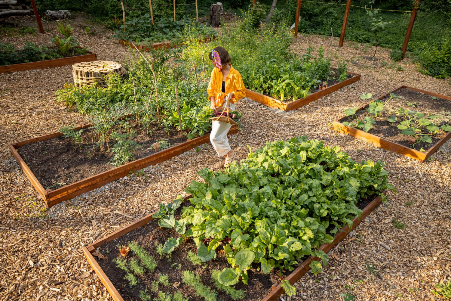 Raised bed gardening