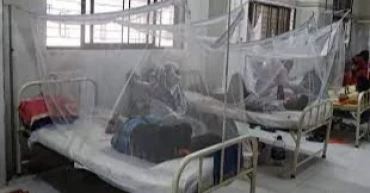 Four dengue patients hospitalised in 24hrs