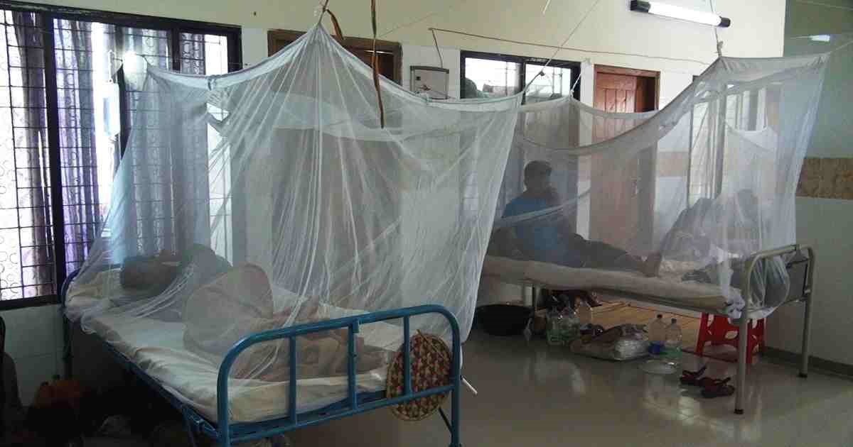 15 dengue patients hospitalised in 24hrs
