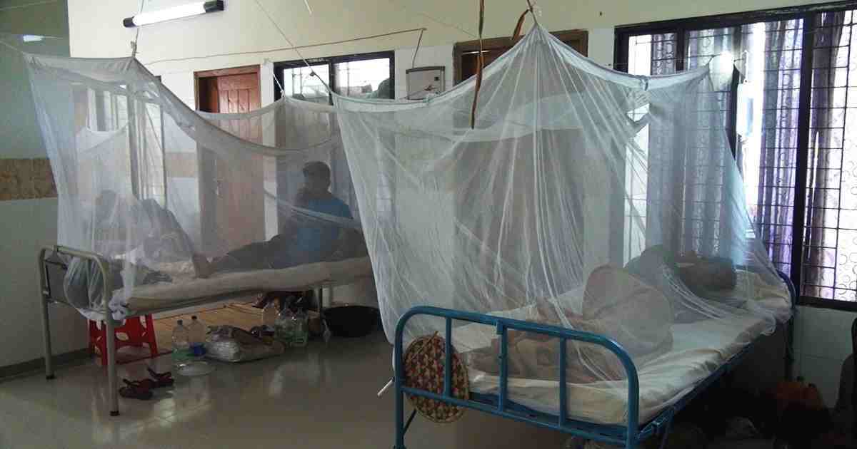 24 dengue patients hospitalised in 24hrs