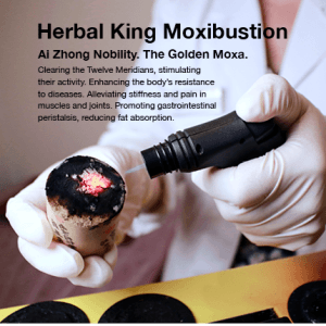 Moxi_Mobile_English1_MainBanner