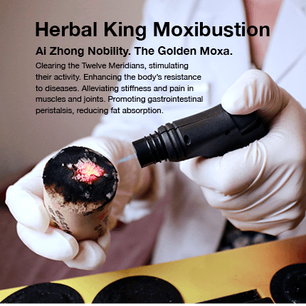 Moxi_Mobile_English1_MainBanner