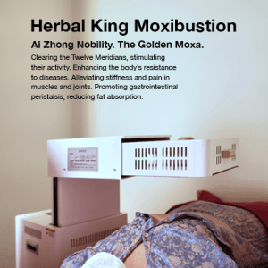 Moxi_Mobile_English2_MainBanner