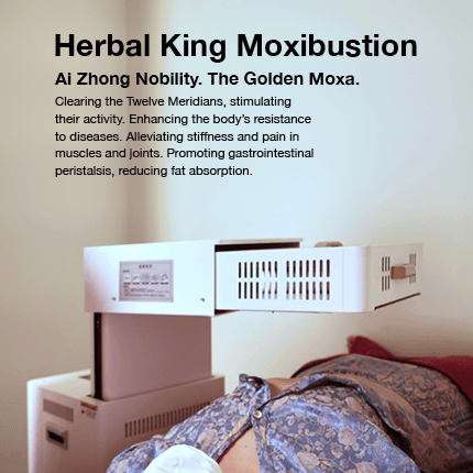 Moxi_Mobile_English2_MainBanner