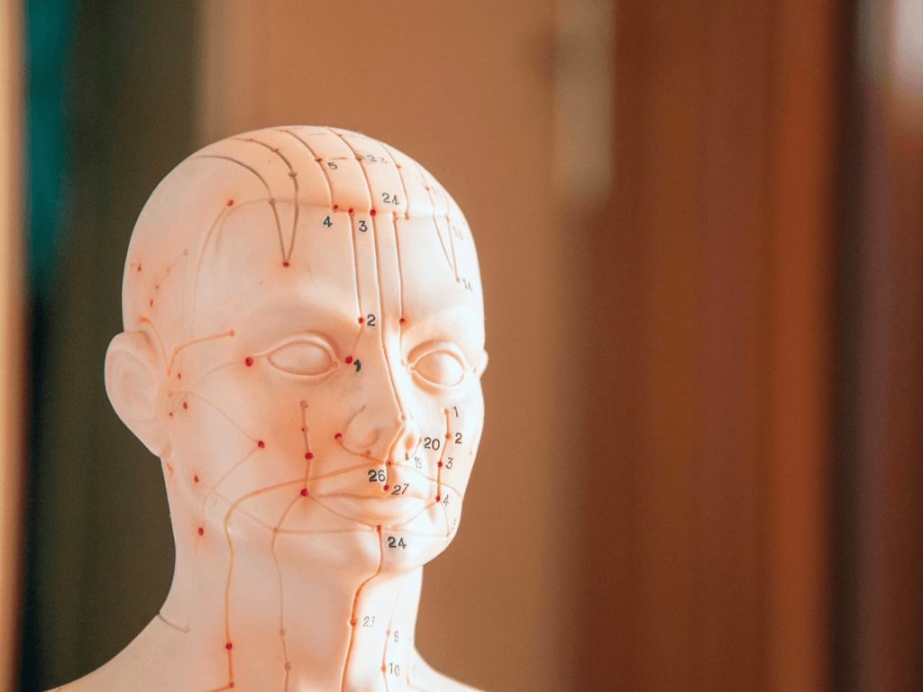 health insurance tcm singapore