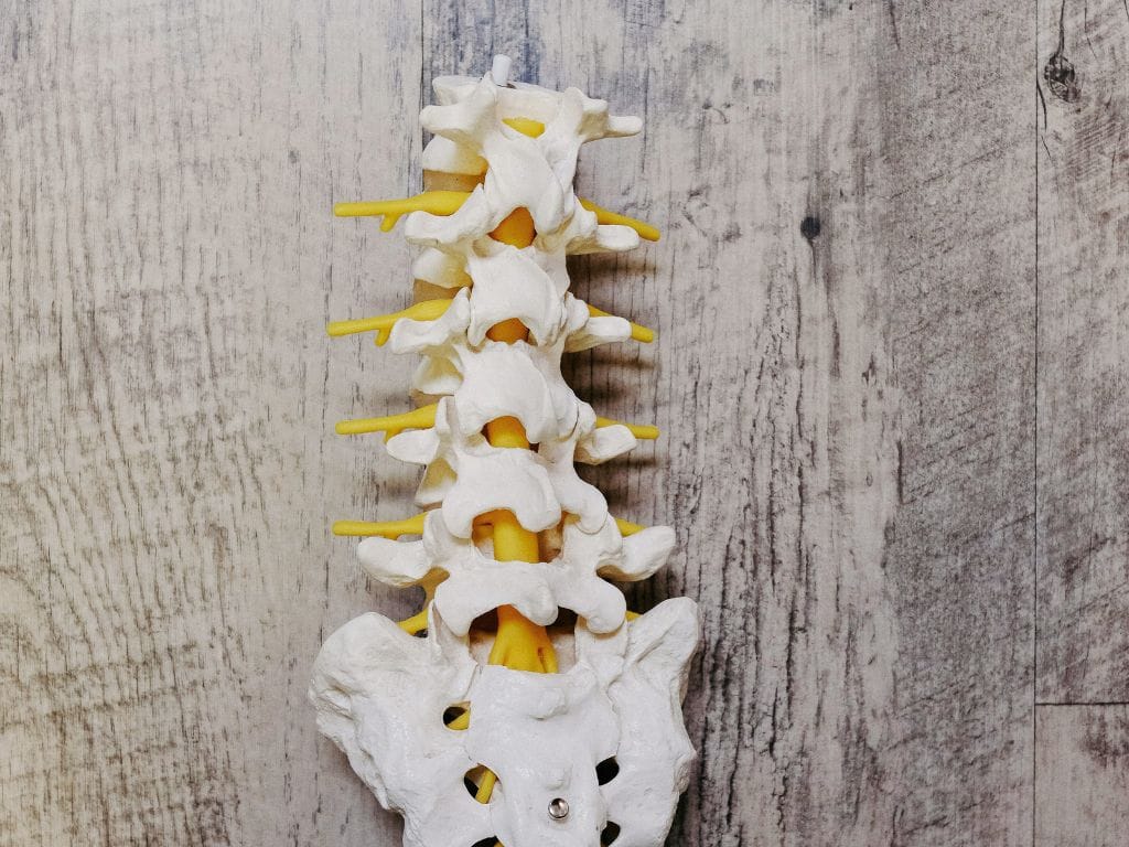 正骨 tcm singapore