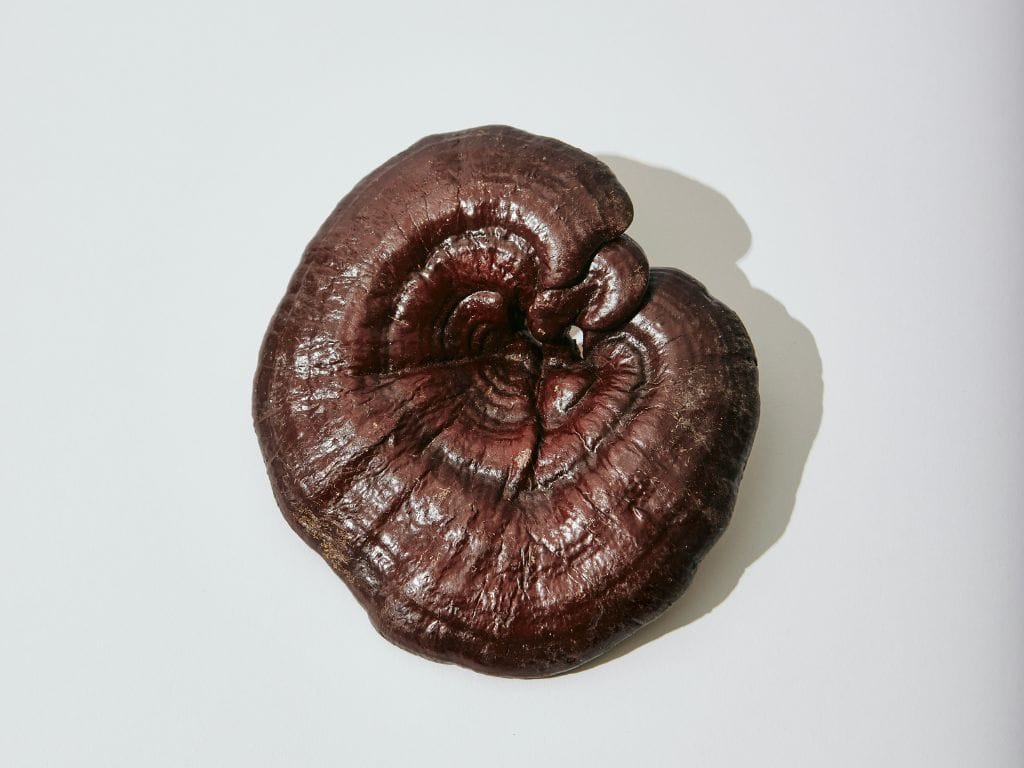 tcm journey to wellness