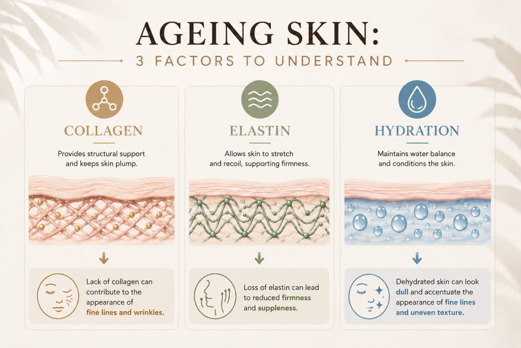 Infographic explaining how collagen, elastin and hydration affect skin ageing, firmness and the appearance of fine lines and wrinkles