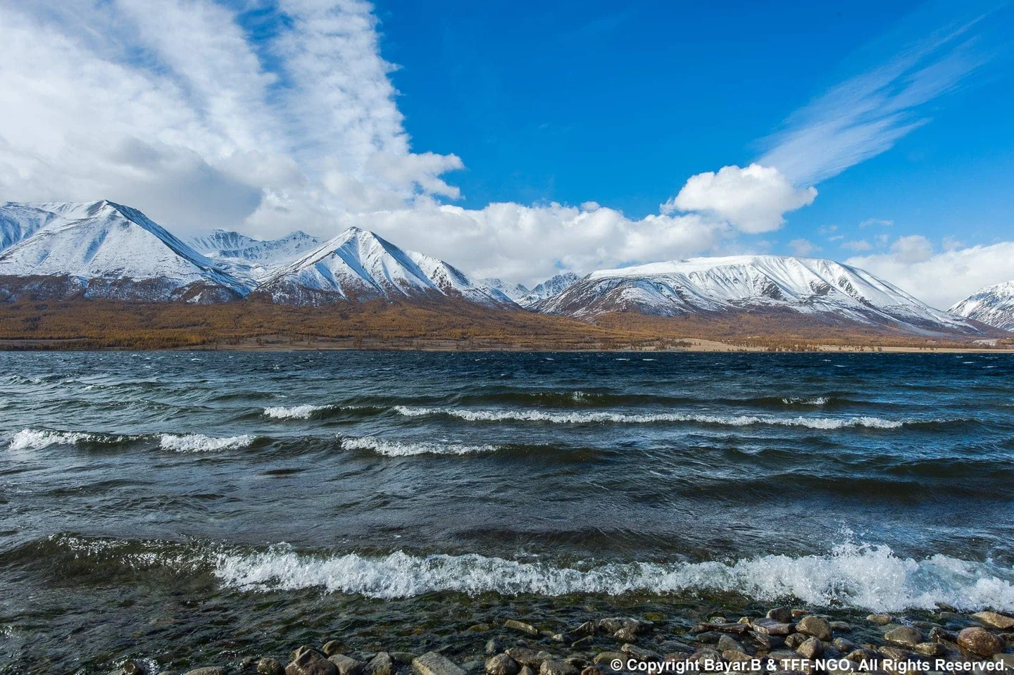 How to Read the Mongolian Sky