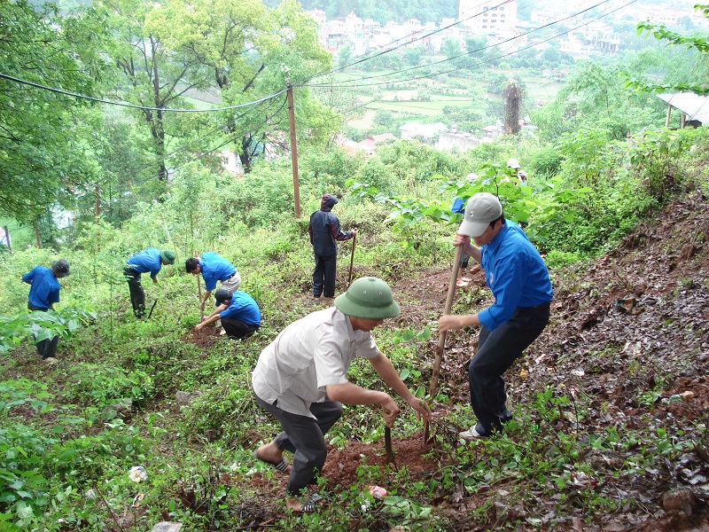 Quy định về đất rừng phòng hộ