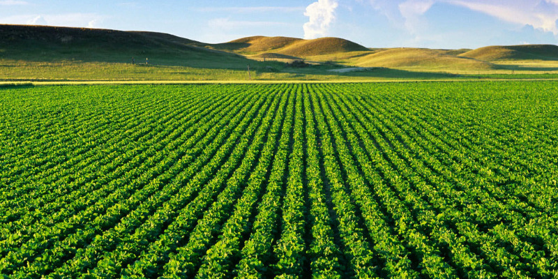 Đất nông nghiệp có được thừa kế không?
