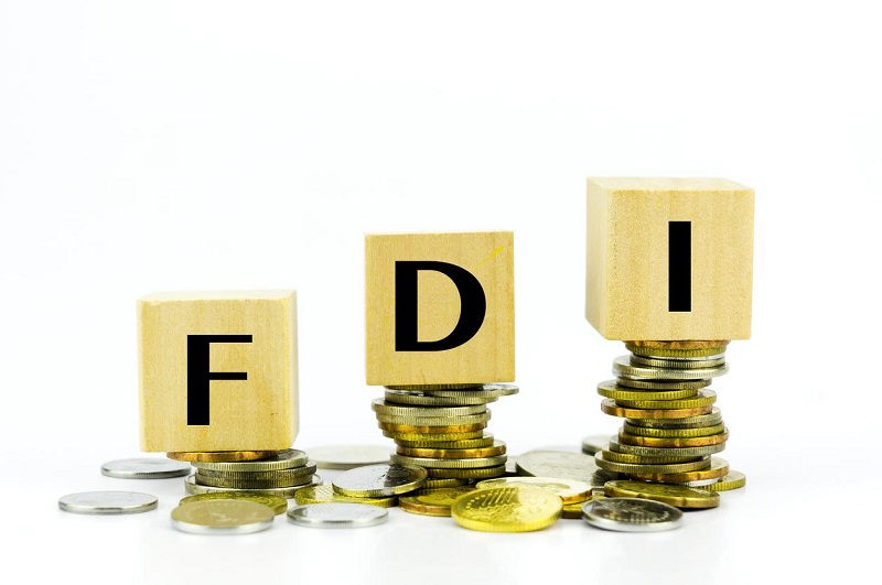 Doanh nghiệp FDI là gì? Tìm hiểu về doanh nghiệp FDI