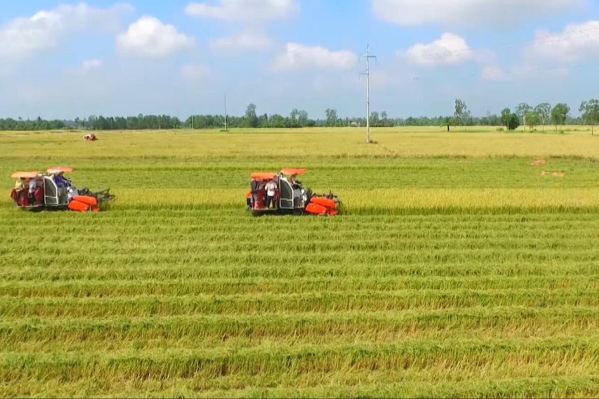 Thẩm quyền chuyển đổi mục đích sử dụng đất trồng lúa thuộc về cơ quan nào?