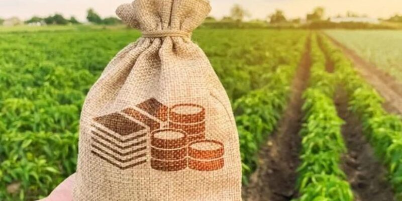 Thủ tục miễn giảm thuế đất phi nông nghiệp năm 2024 như thế nào?