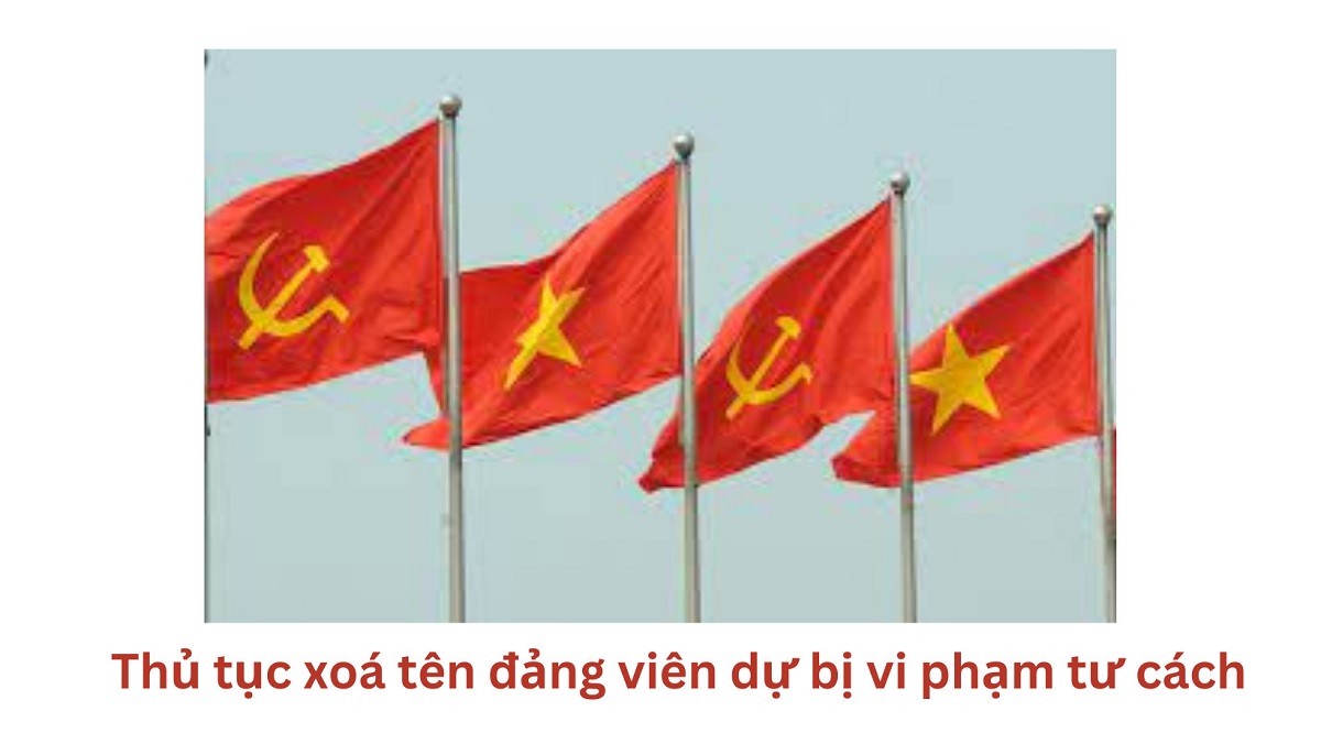 Thủ tục xoá tên đảng viên dự bị vi phạm tư cách năm 2024