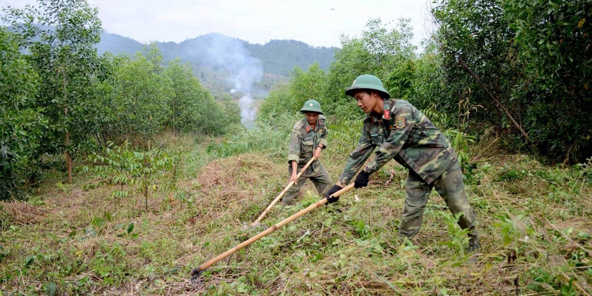 Có nên mua đất quân đội cấp không?