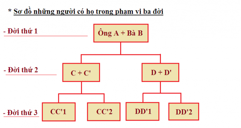 Cách tính quan hệ huyết thống trong phạm vi ba đời