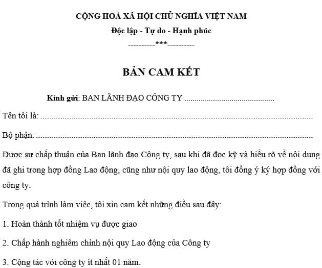 Thỏa thuận mẫu biên bản cam kết giữa hai bên gồm những nội dung gì?