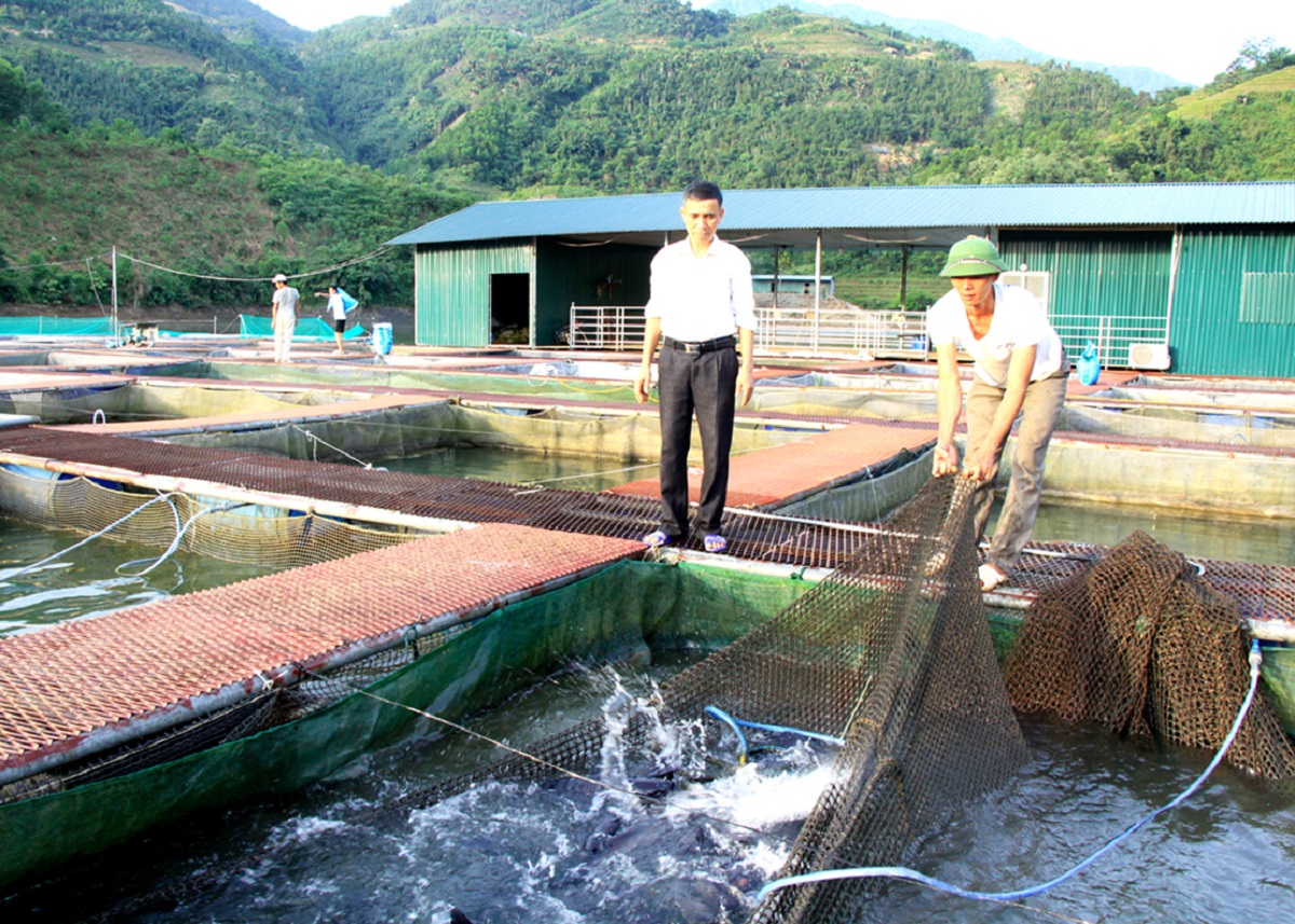 Mẫu đơn đề nghị hỗ trợ thiệt hại nuôi trồng thủy sản do thiên tai