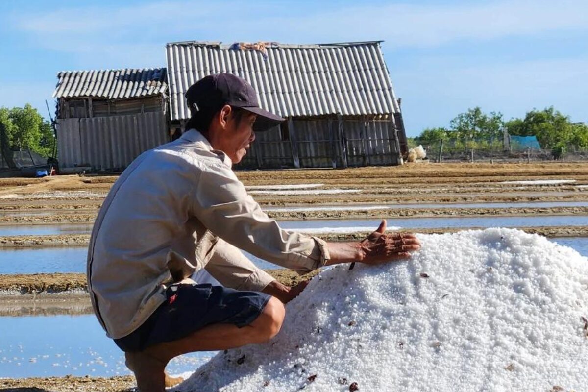 Mẫu đơn đề nghị hỗ trợ thiệt hại sản xuất muối do thiên tai