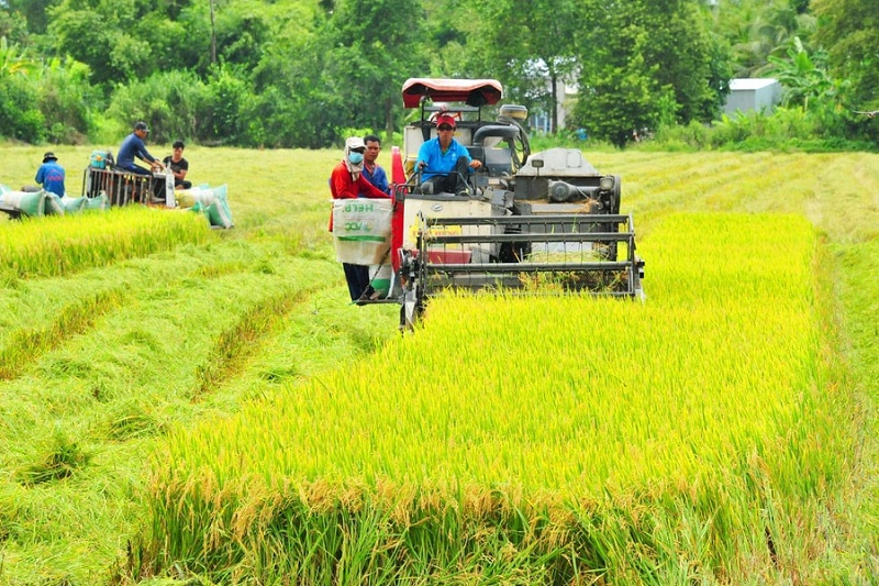 Mẫu hợp đồng chuyển nhượng đất nông nghiệp