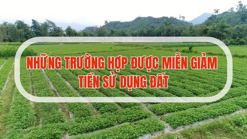 Trường hợp được miễn giảm tiền sử dụng đất năm 2024