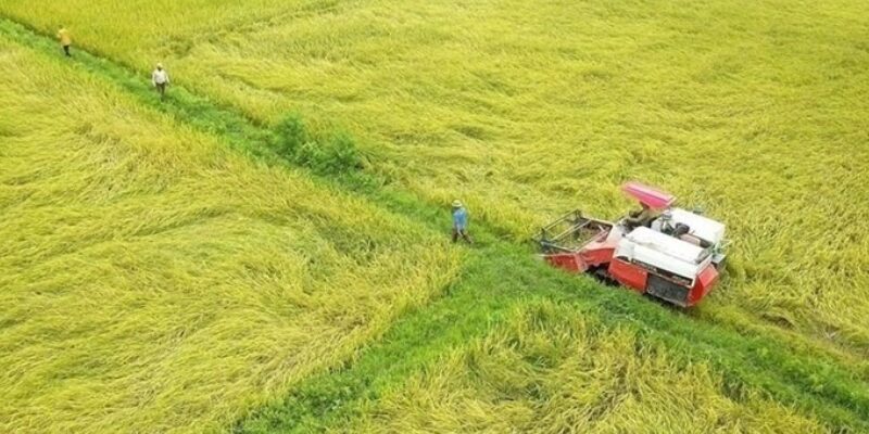 Phí chuyển đổi đất 50 năm sang đất ở là bao nhiêu?