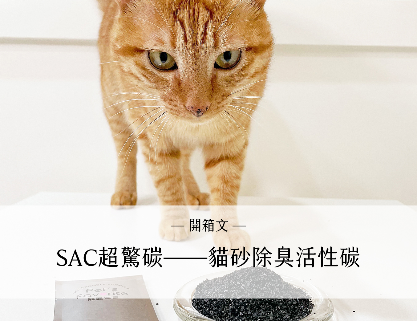 SAC超驚碳貓砂除臭活性碳