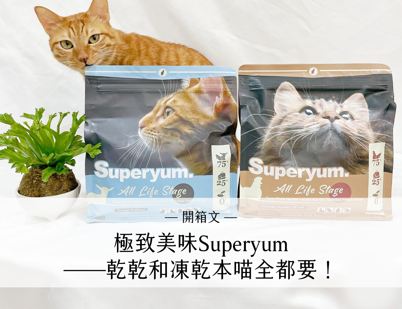 極致美味Superyum貓飼料凍乾